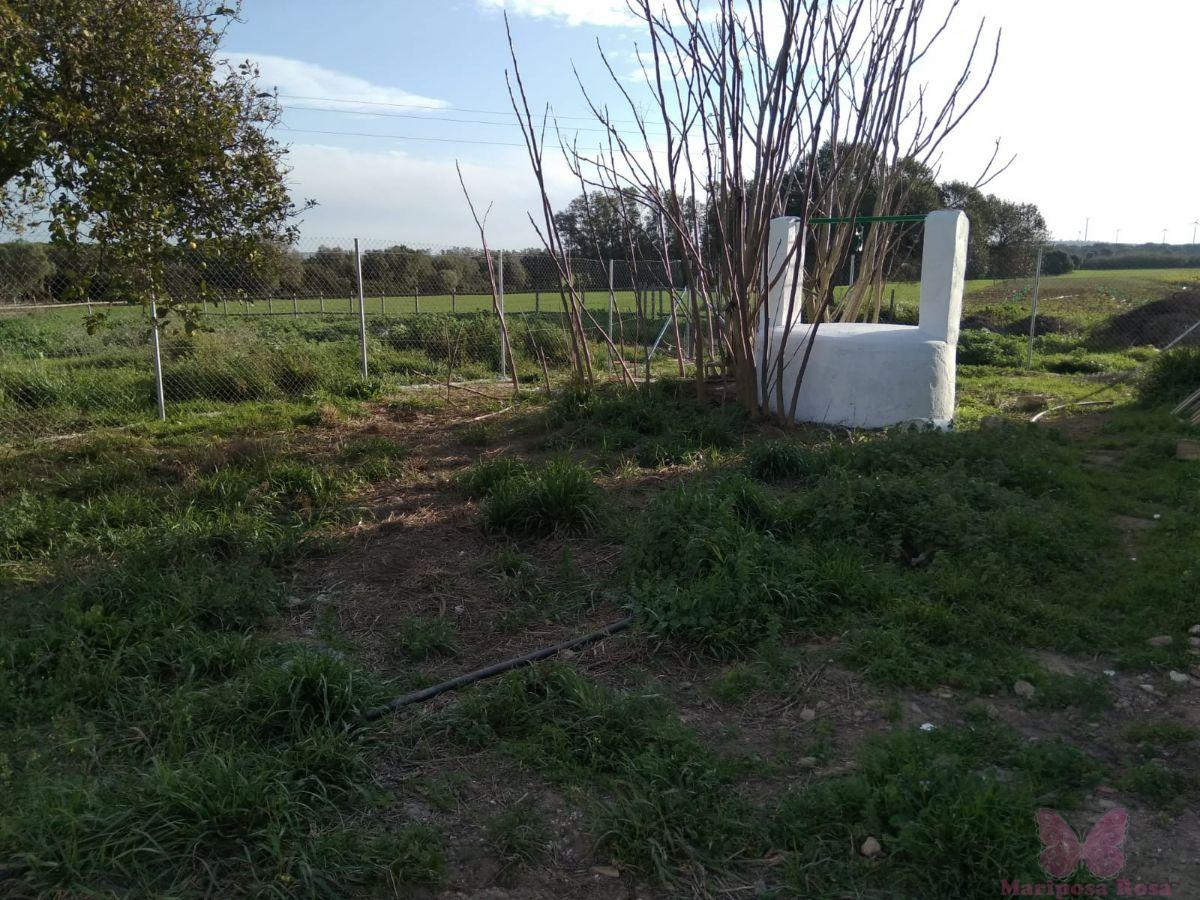 Venta de finca rústica en Puerto Real