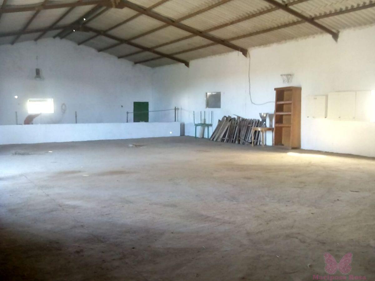 Venta de finca rústica en Puerto Real