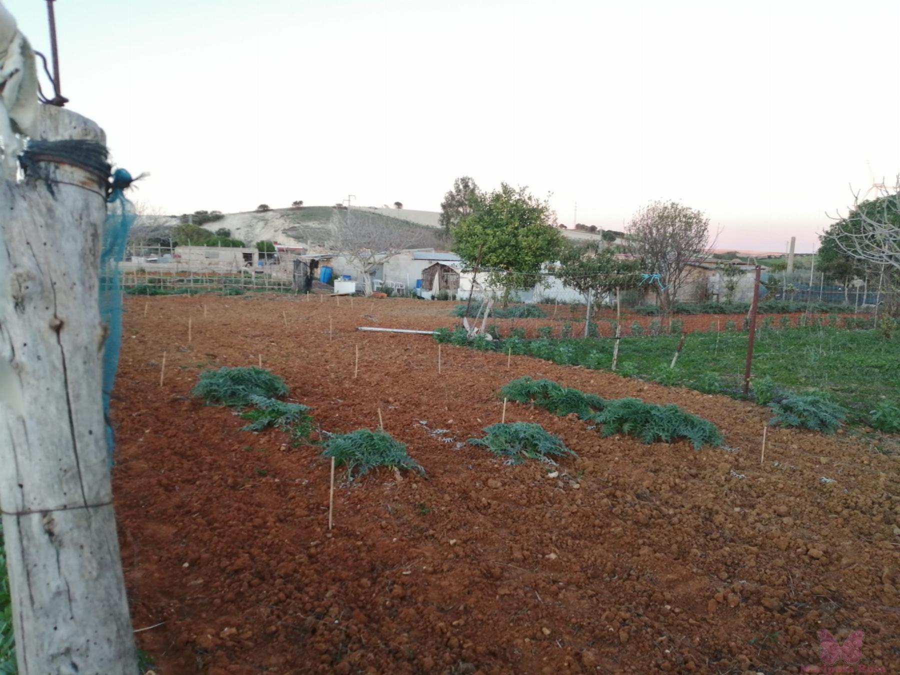 Venta de finca rústica en Chiclana de la Frontera