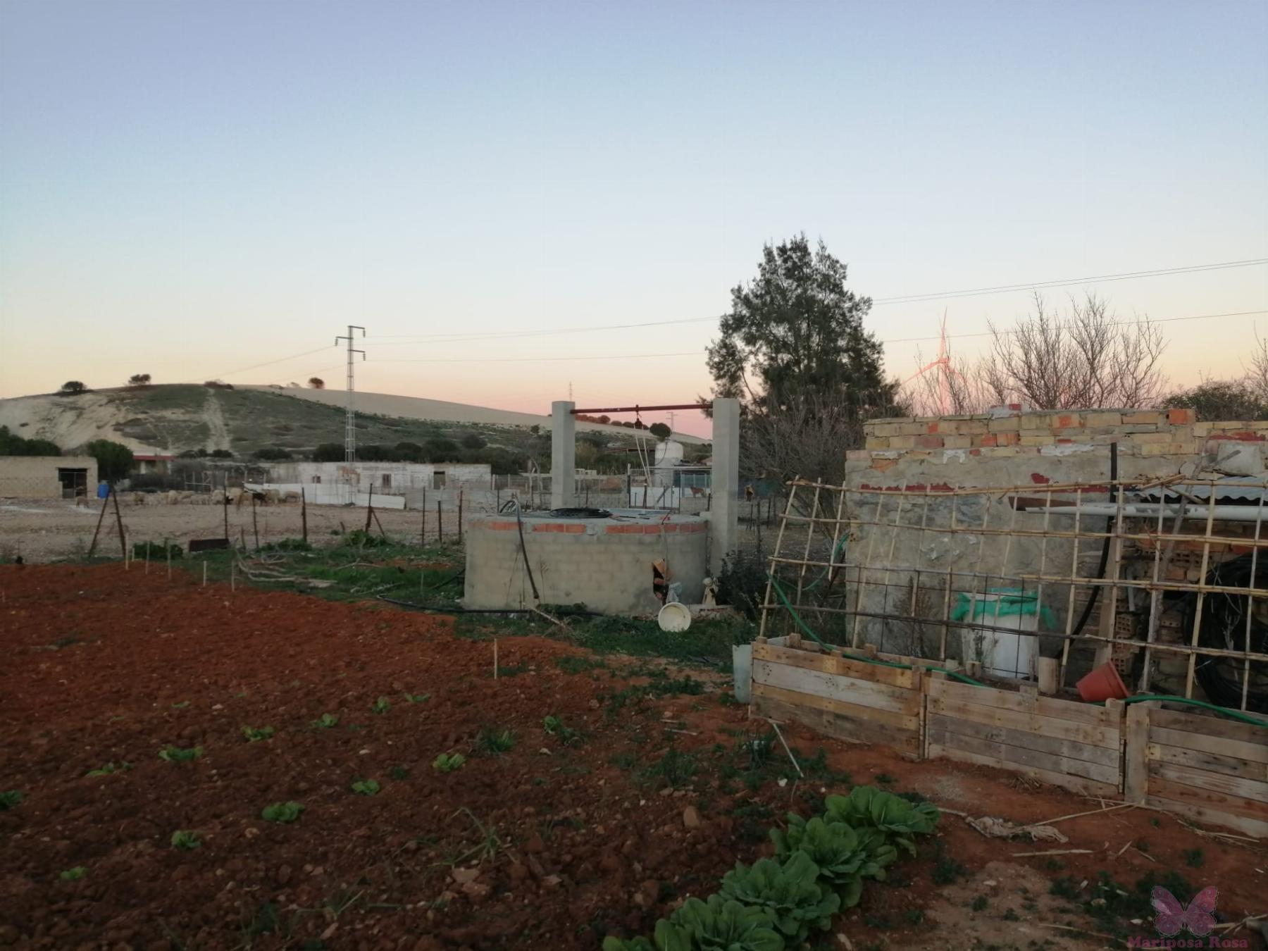 Venta de finca rústica en Chiclana de la Frontera