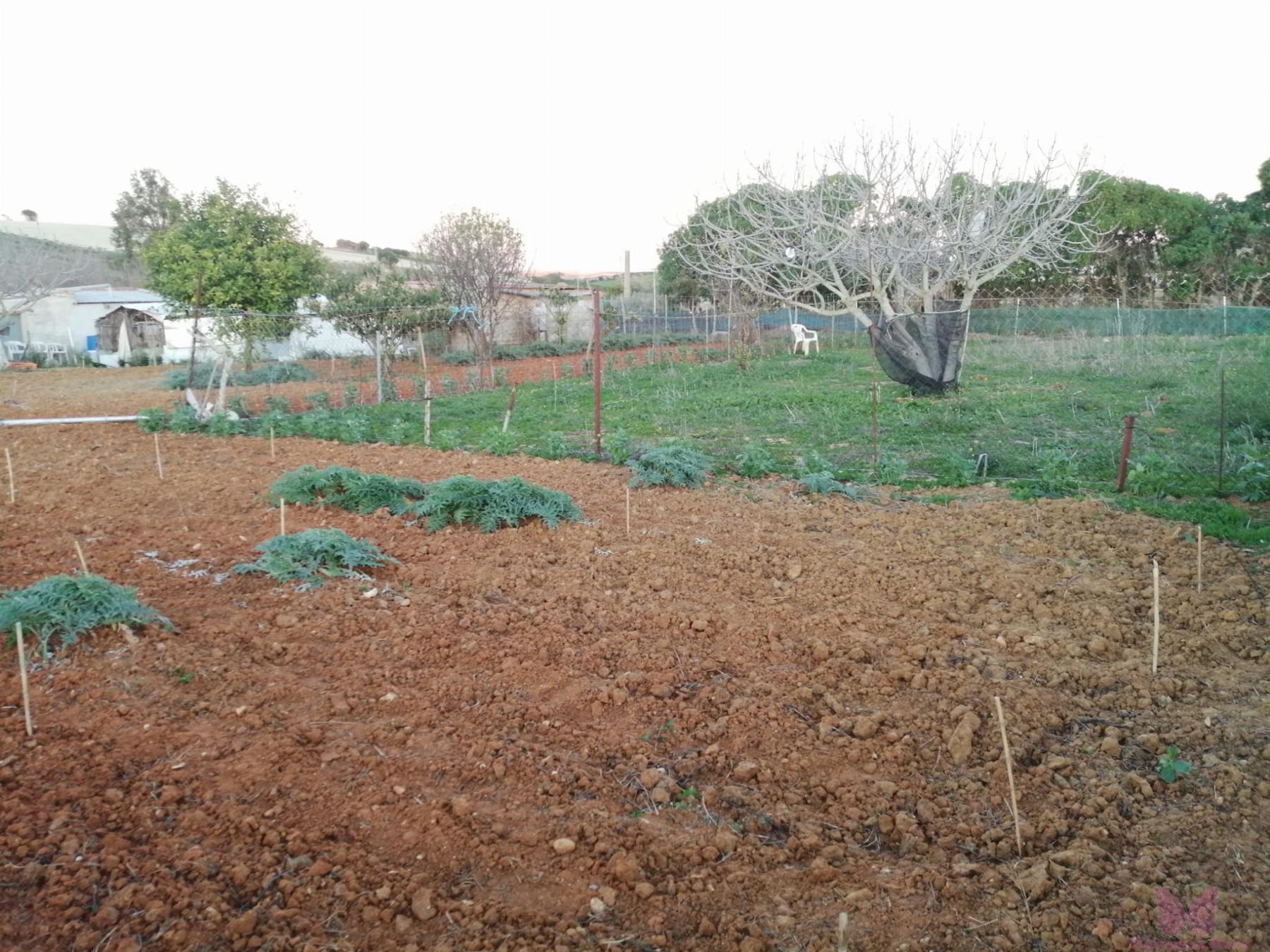 Venta de finca rústica en Chiclana de la Frontera