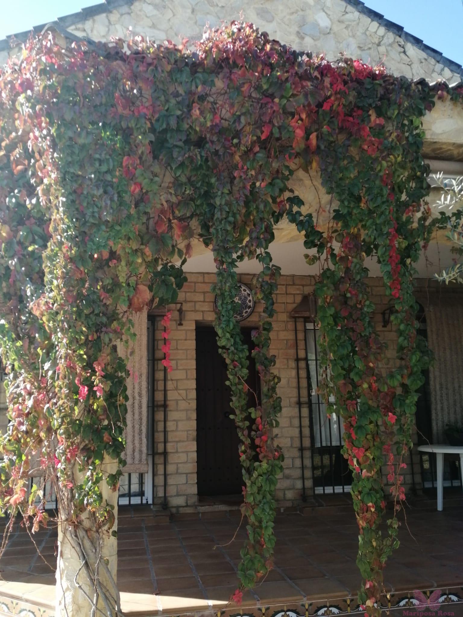 Venta de chalet en Chiclana de la Frontera