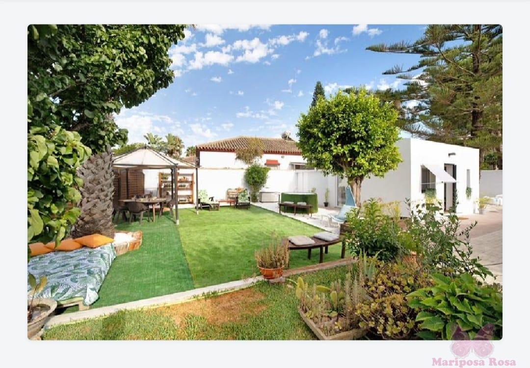 For rent of study in Chiclana de la Frontera