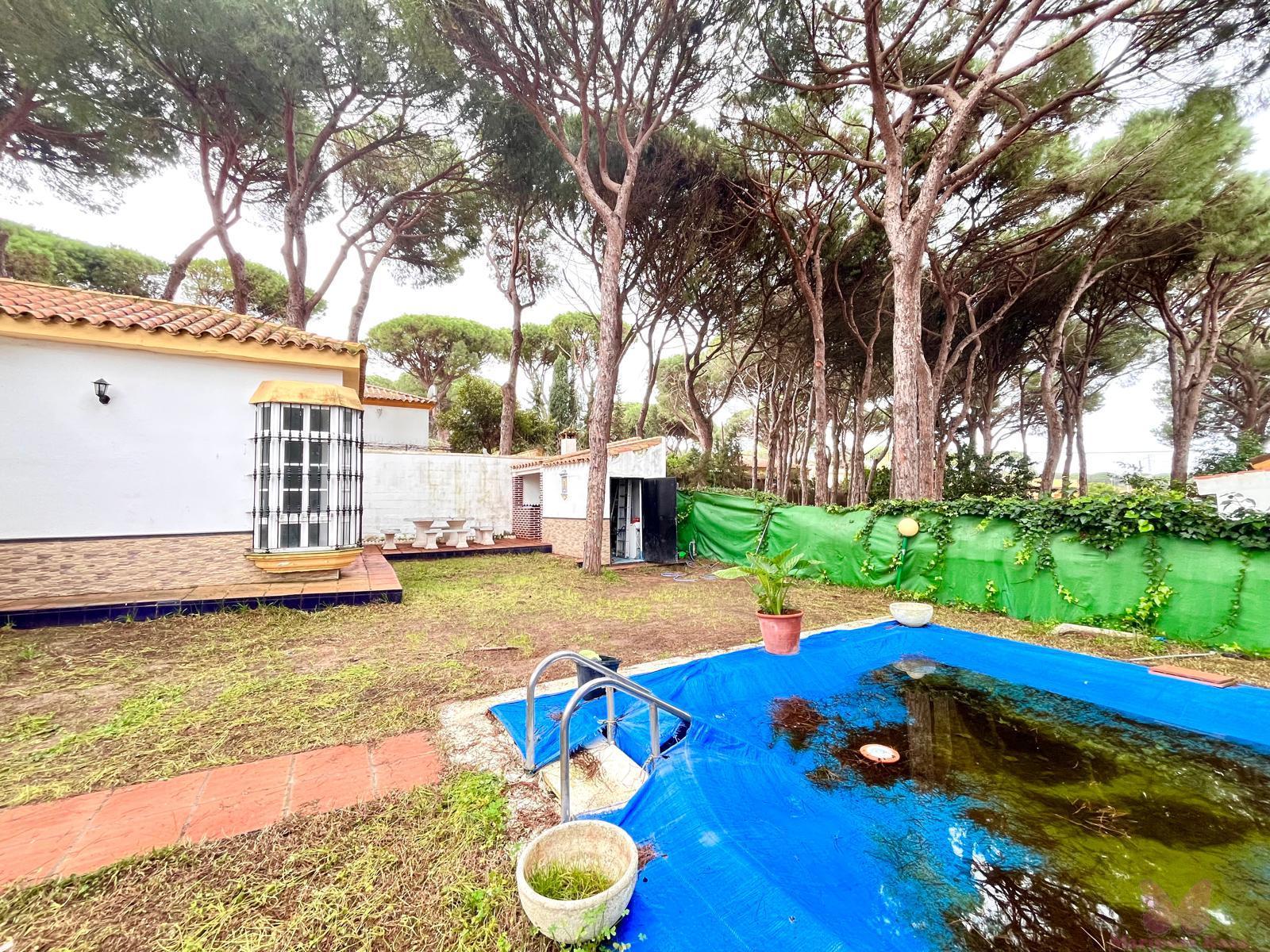 Jardín