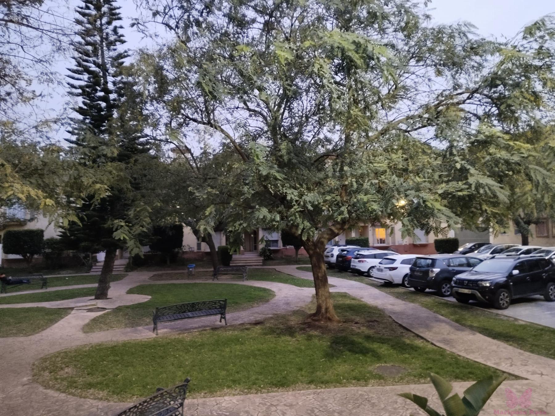 Jardín