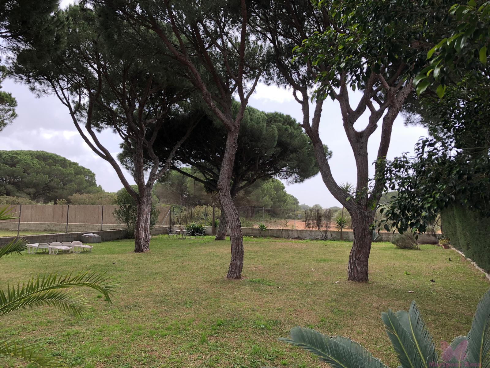 Jardín