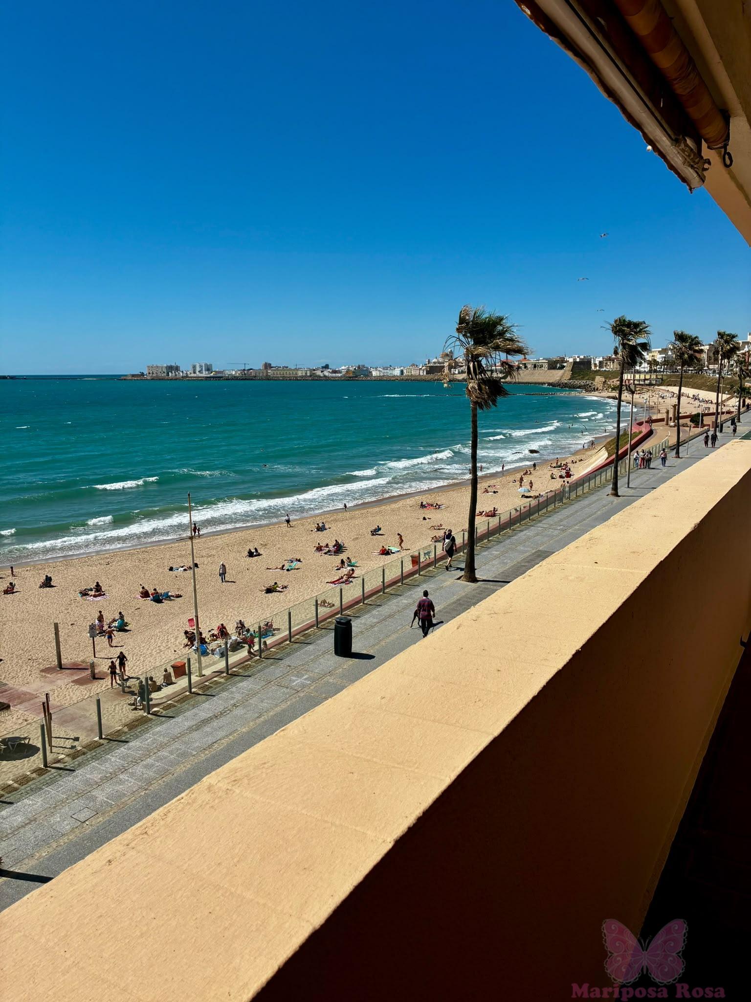 Vistas