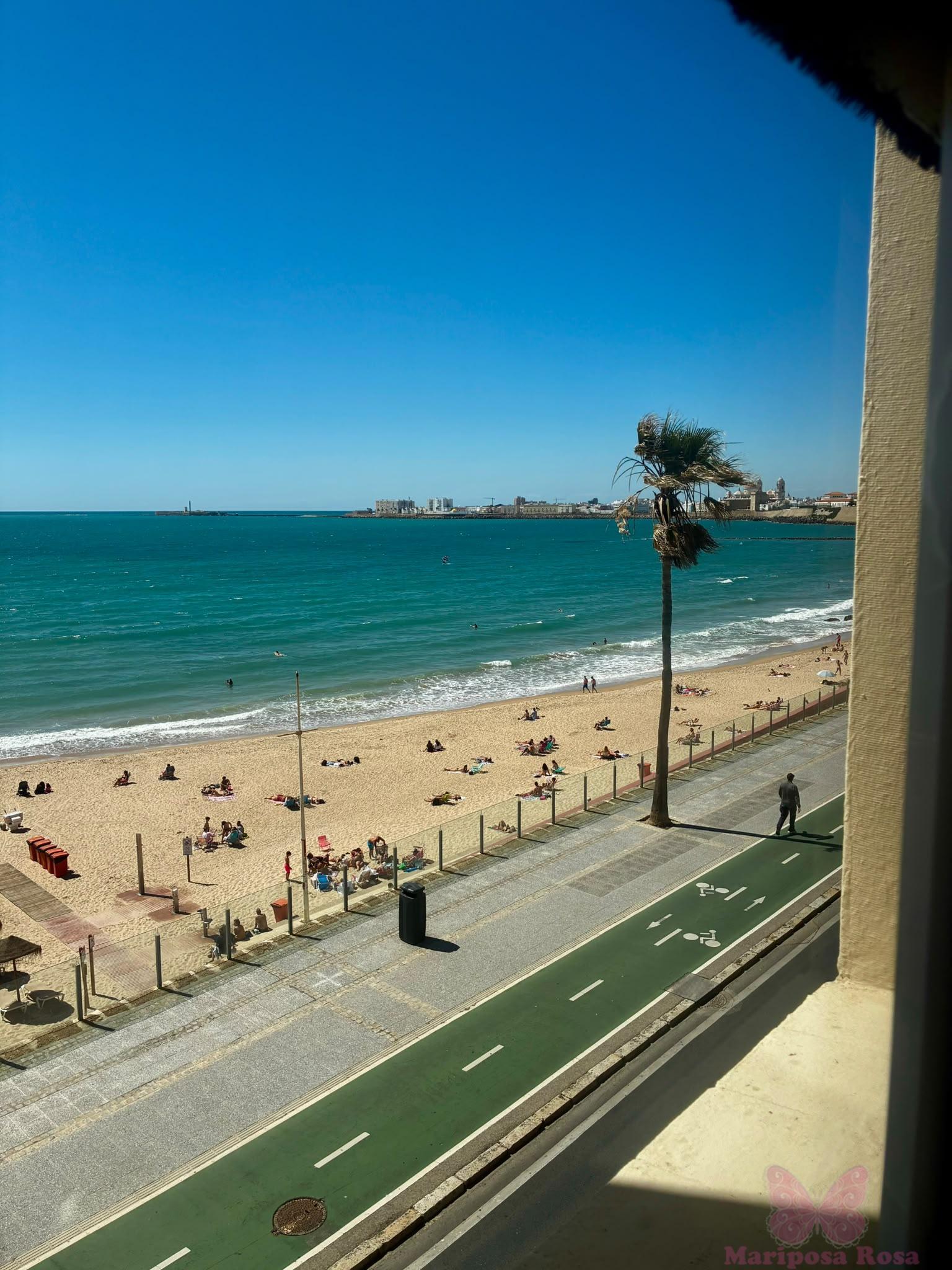 Vistas