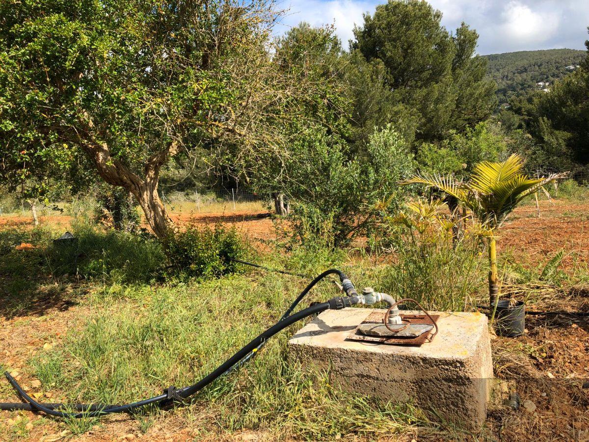 Alquiler de casa en Sant Josep de Sa Talaia