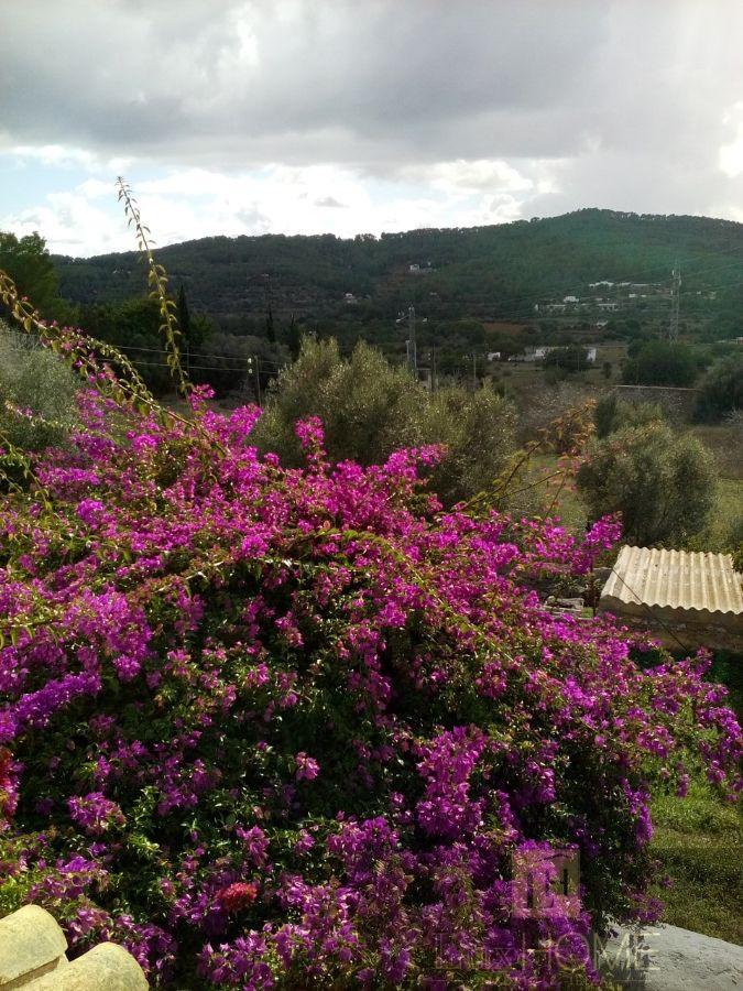 Venta de casa en Santa Eulalia del Río