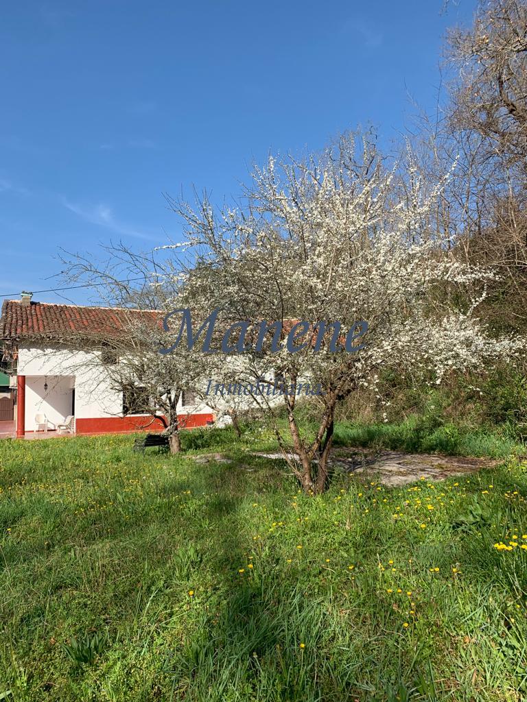 For sale of house in Mungia