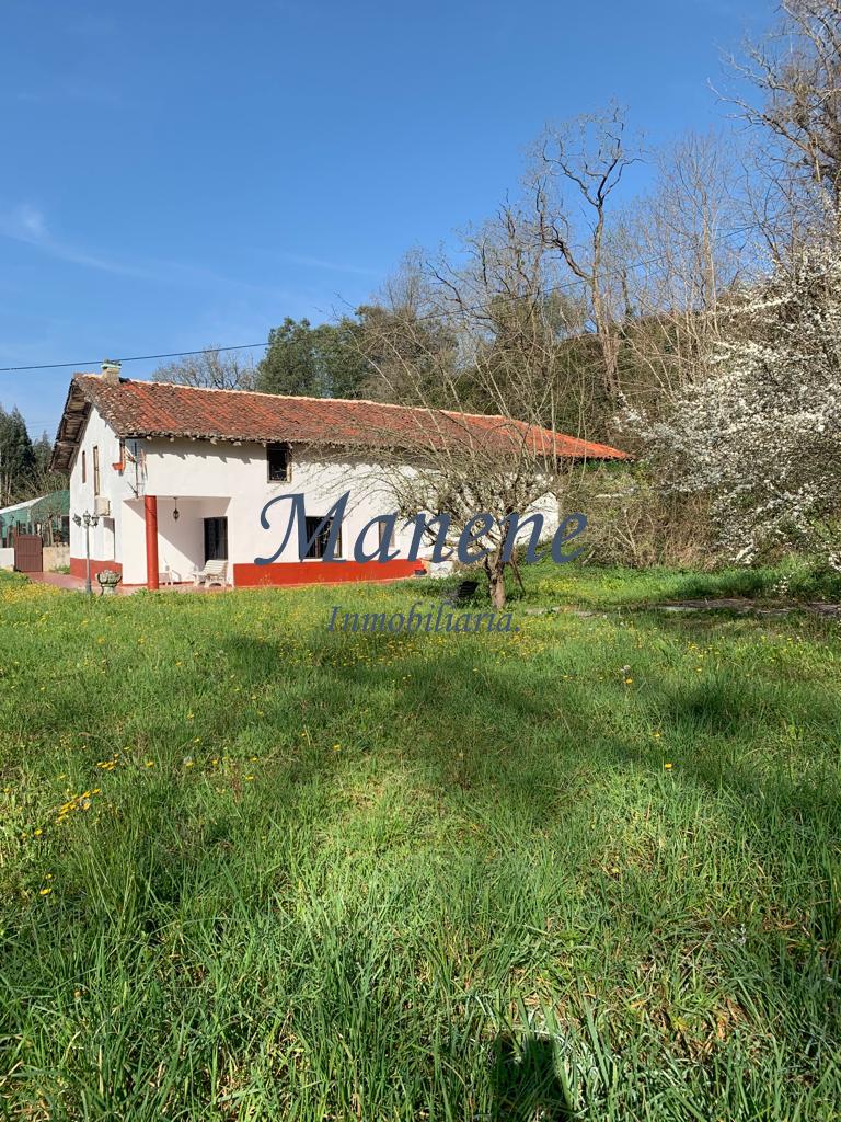For sale of house in Mungia