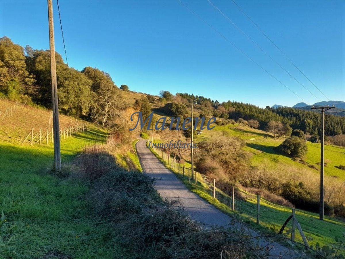 Venta de finca rústica en Larrabetzu