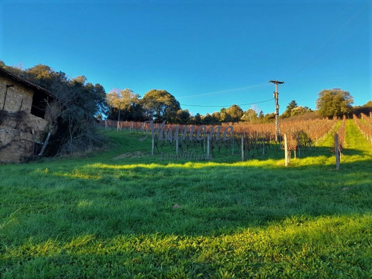 Venta de finca rústica en Larrabetzu