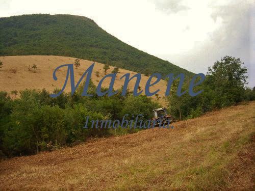 For sale of land in Burgos