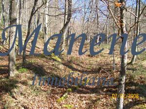 For sale of land in Ubide
