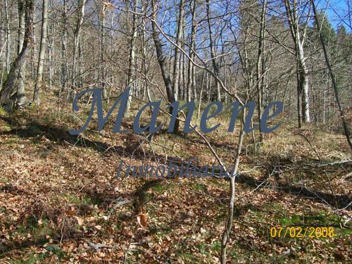 For sale of land in Ubide