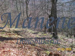For sale of land in Ubide