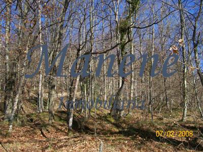 For sale of land in Ubide