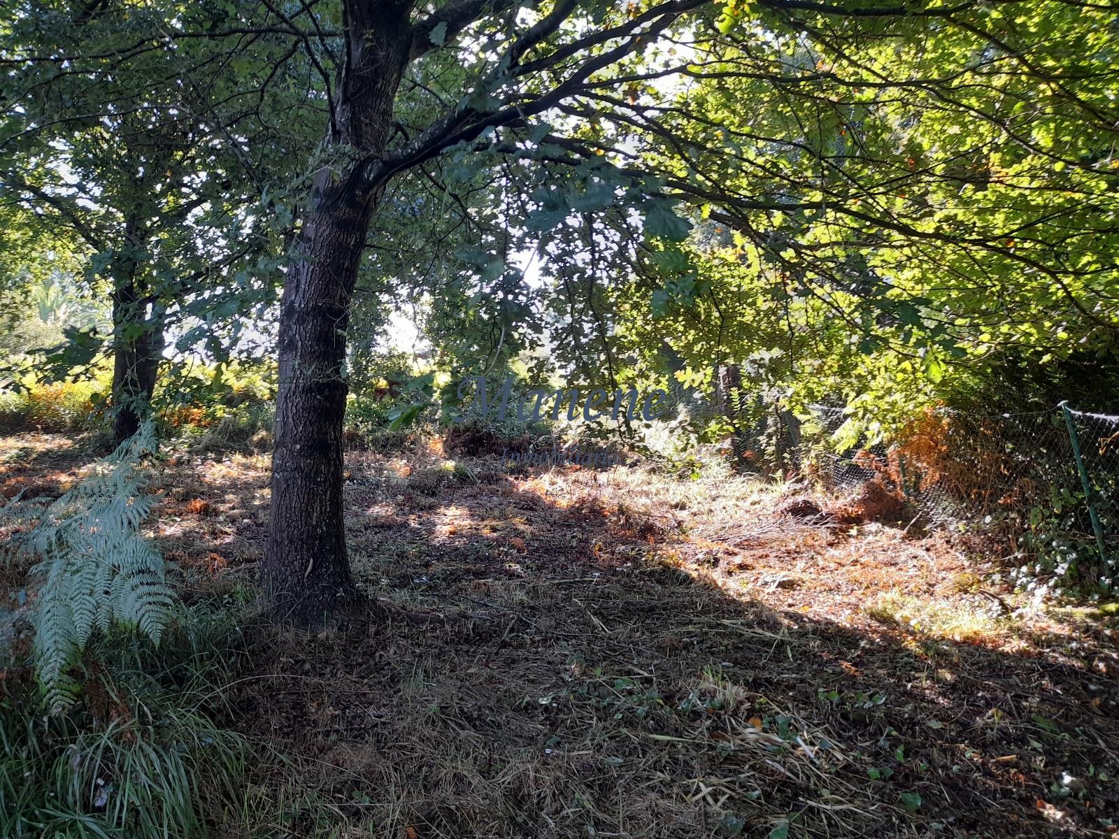 For sale of land in Mungia