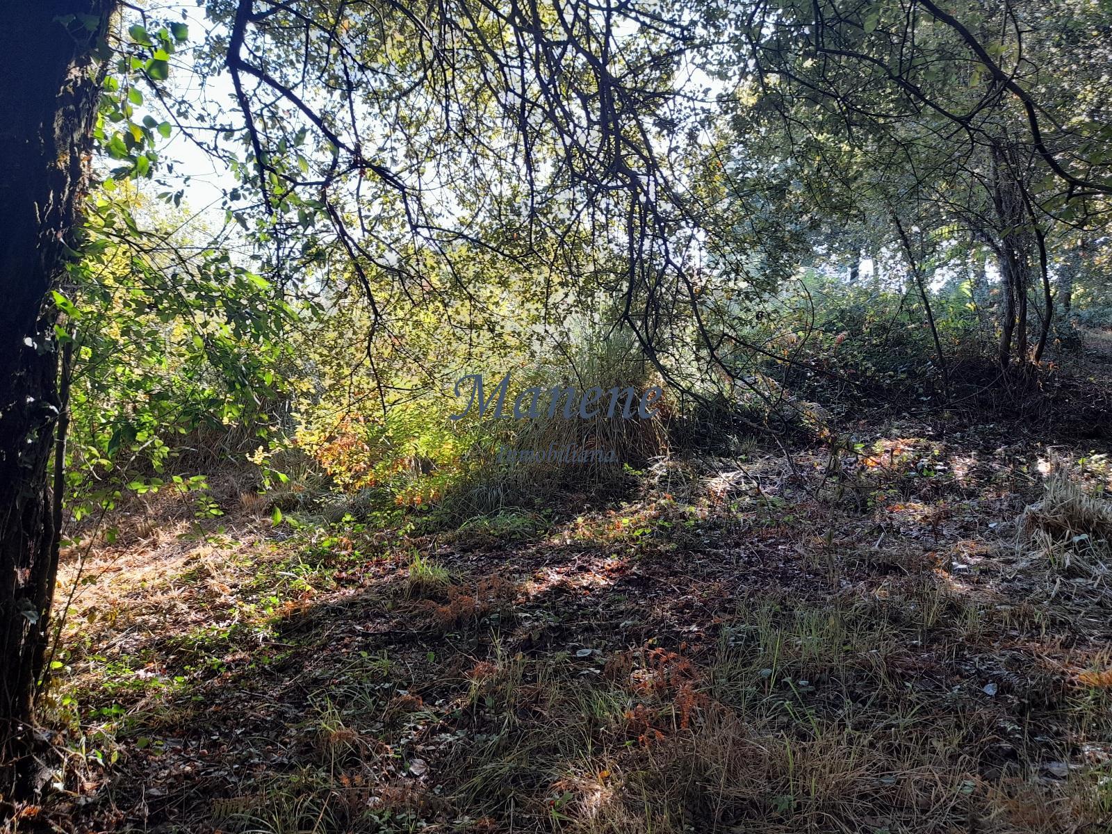 For sale of land in Mungia