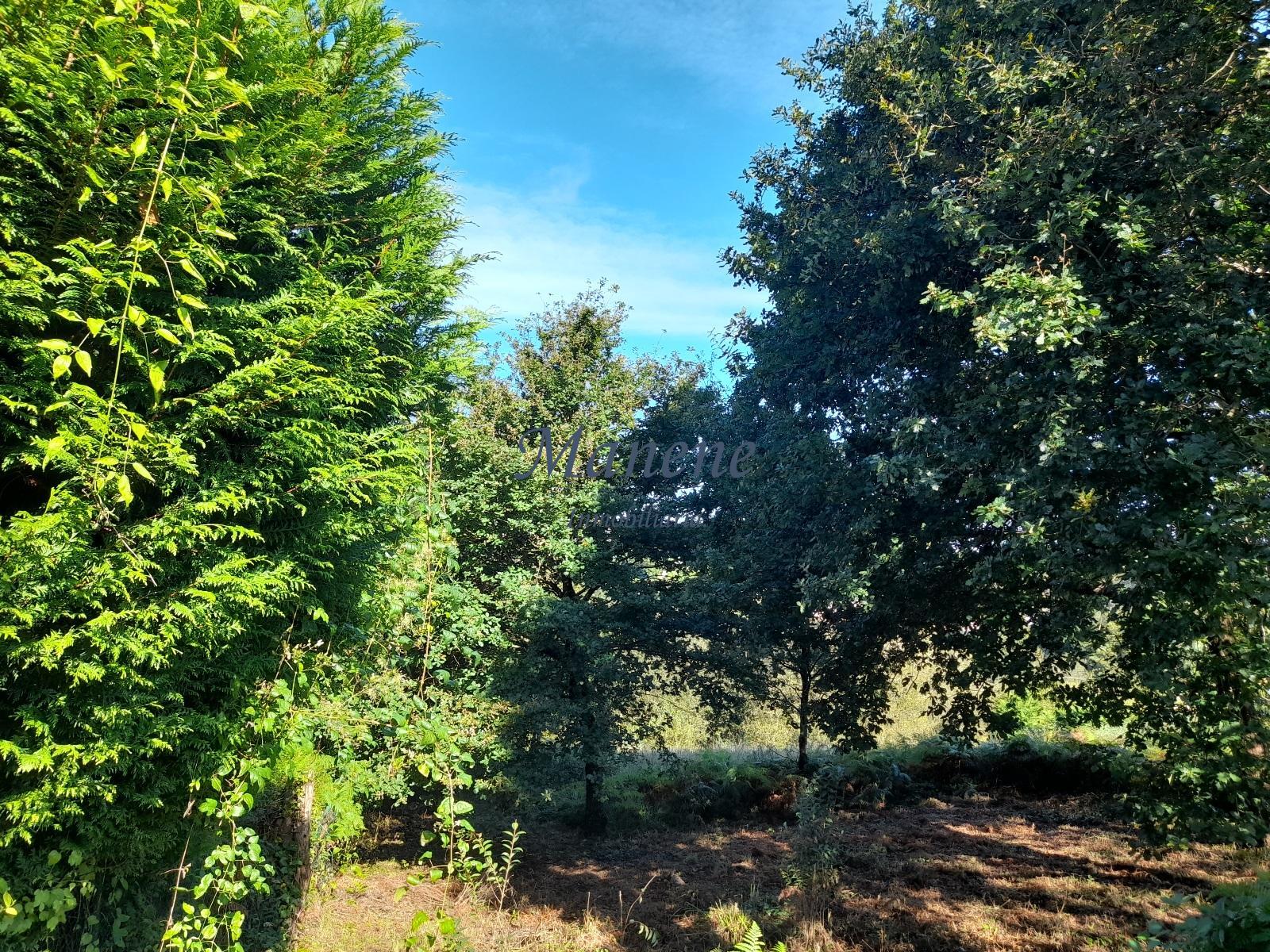 For sale of land in Mungia
