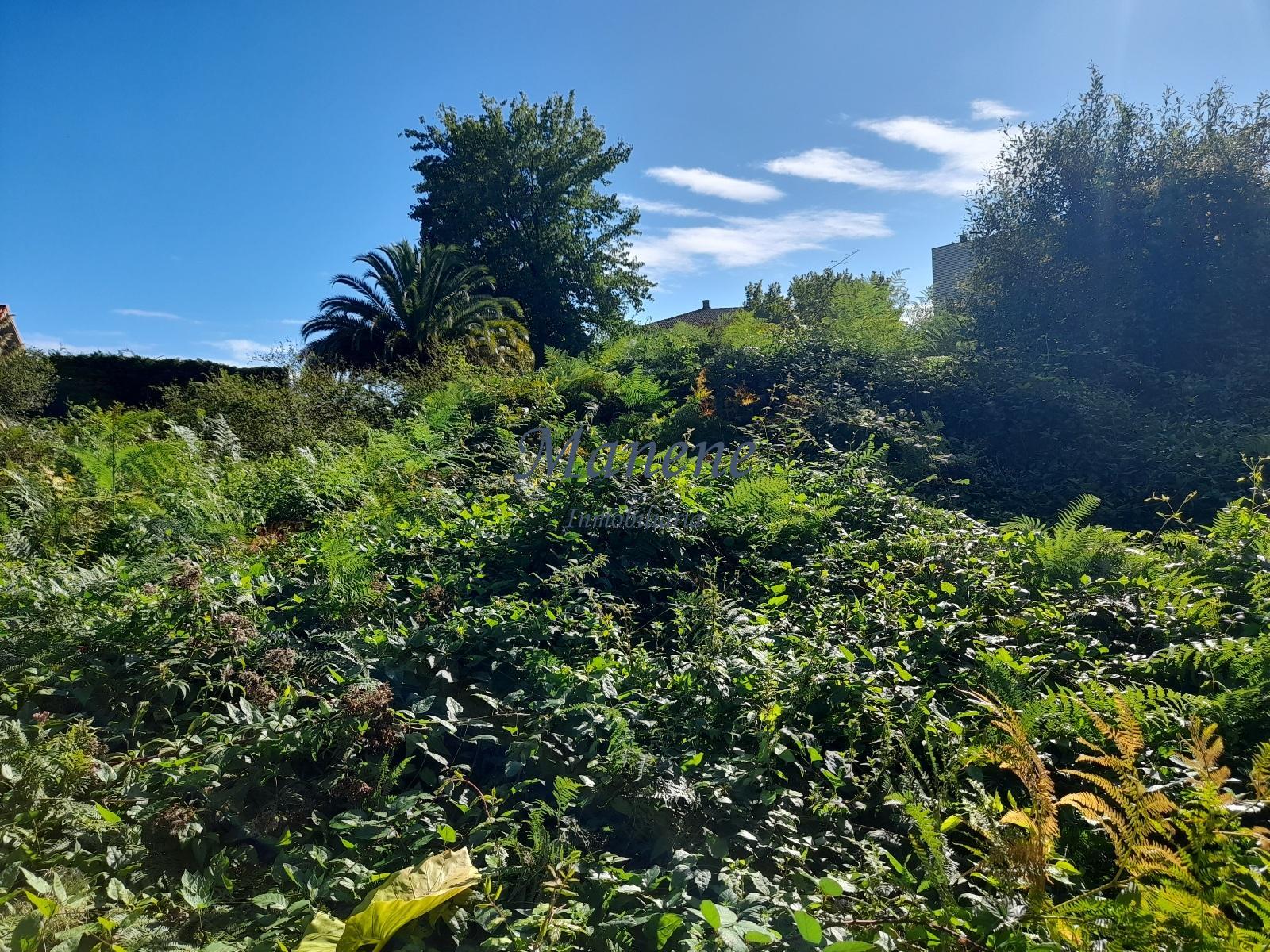 For sale of land in Mungia