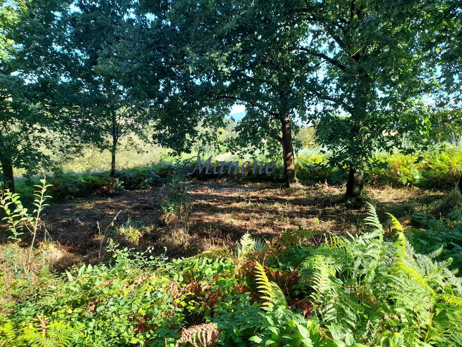 For sale of land in Mungia