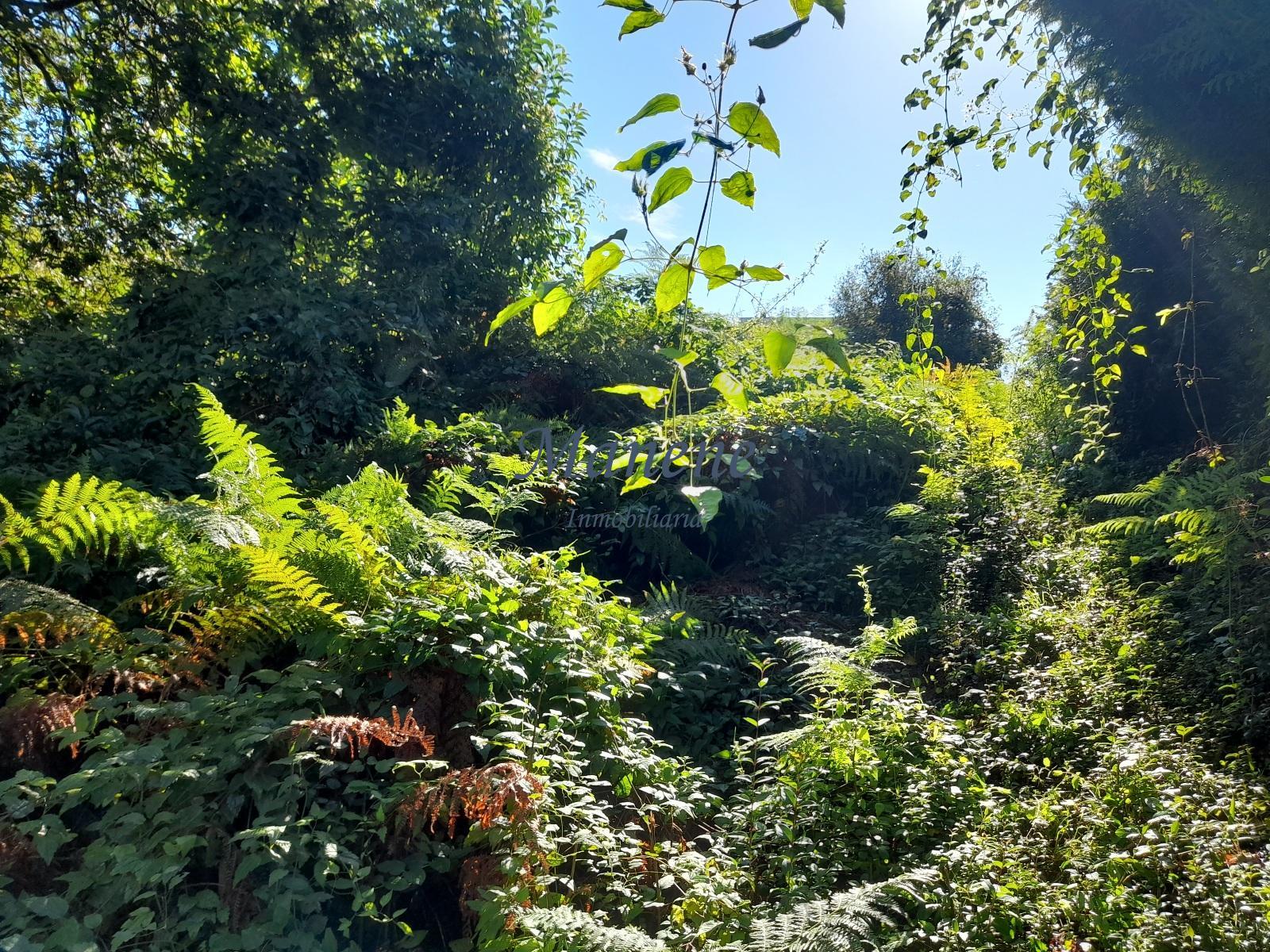 For sale of land in Mungia