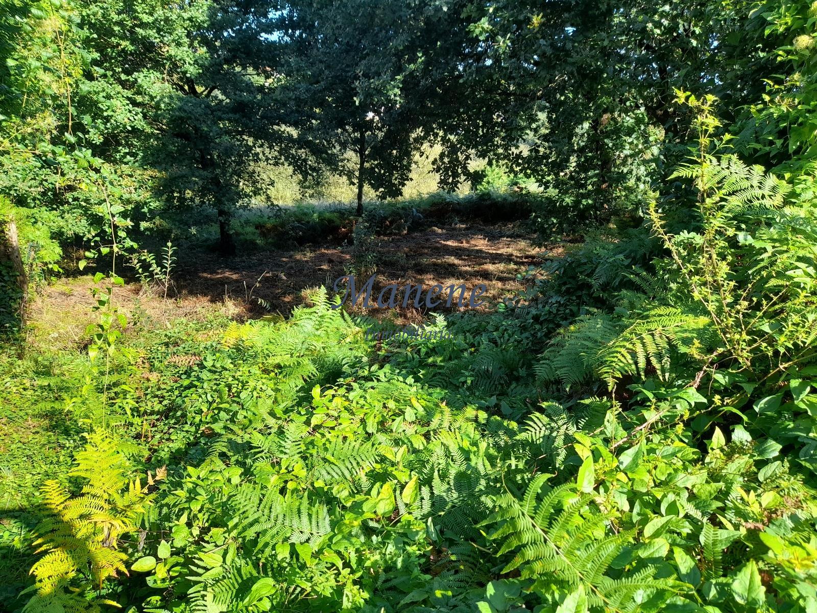 For sale of land in Mungia