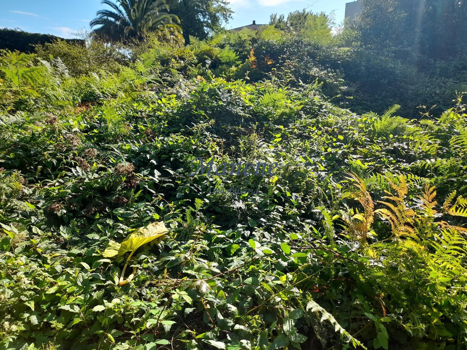 For sale of land in Mungia