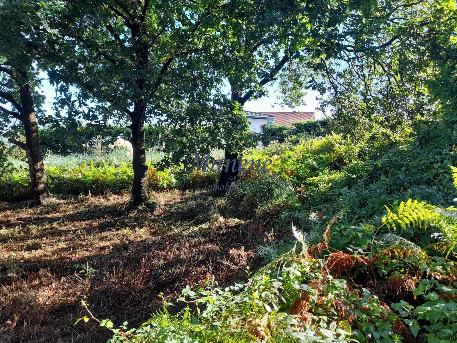 For sale of land in Mungia