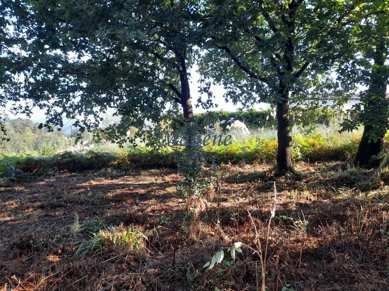 For sale of land in Mungia