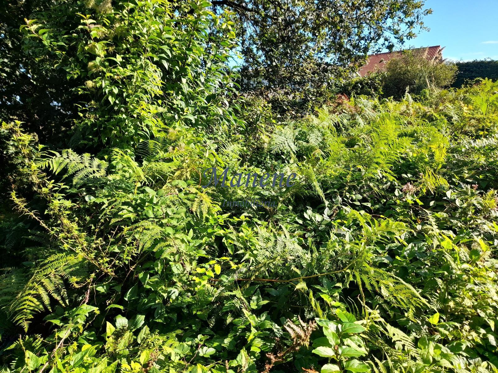 For sale of land in Mungia