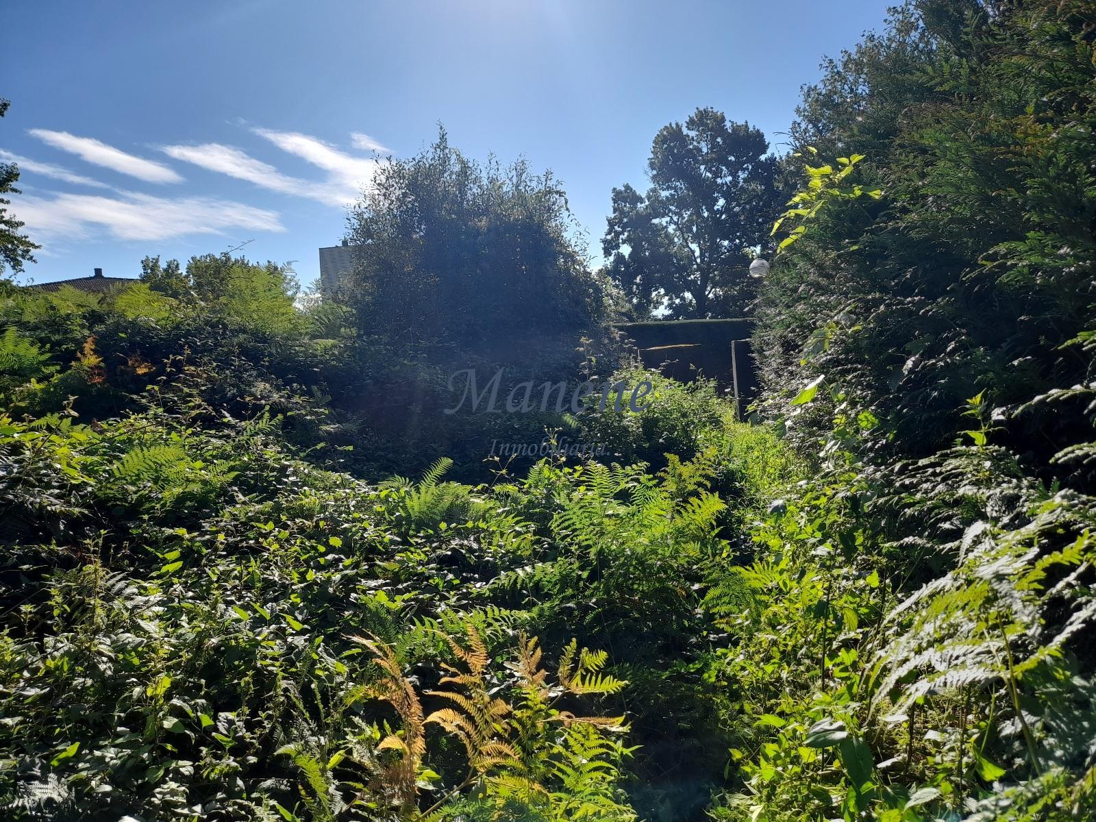 For sale of land in Mungia