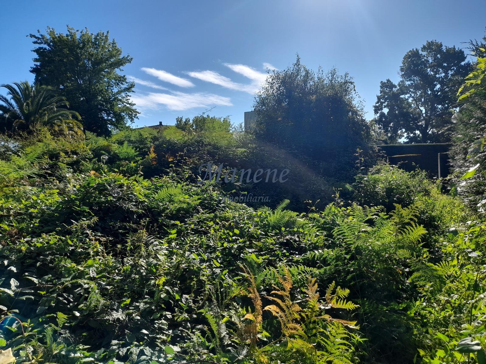 For sale of land in Mungia