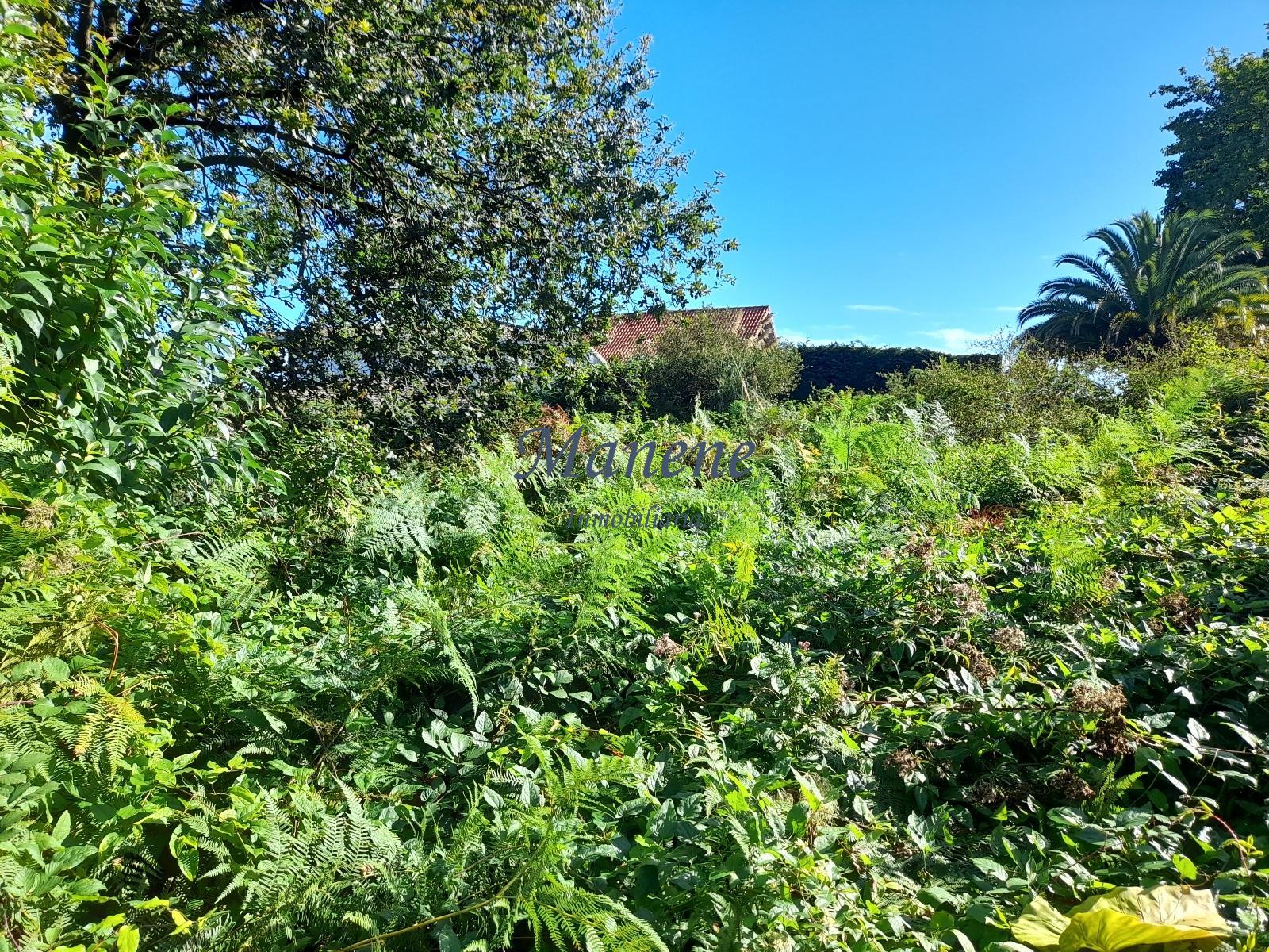 For sale of land in Mungia