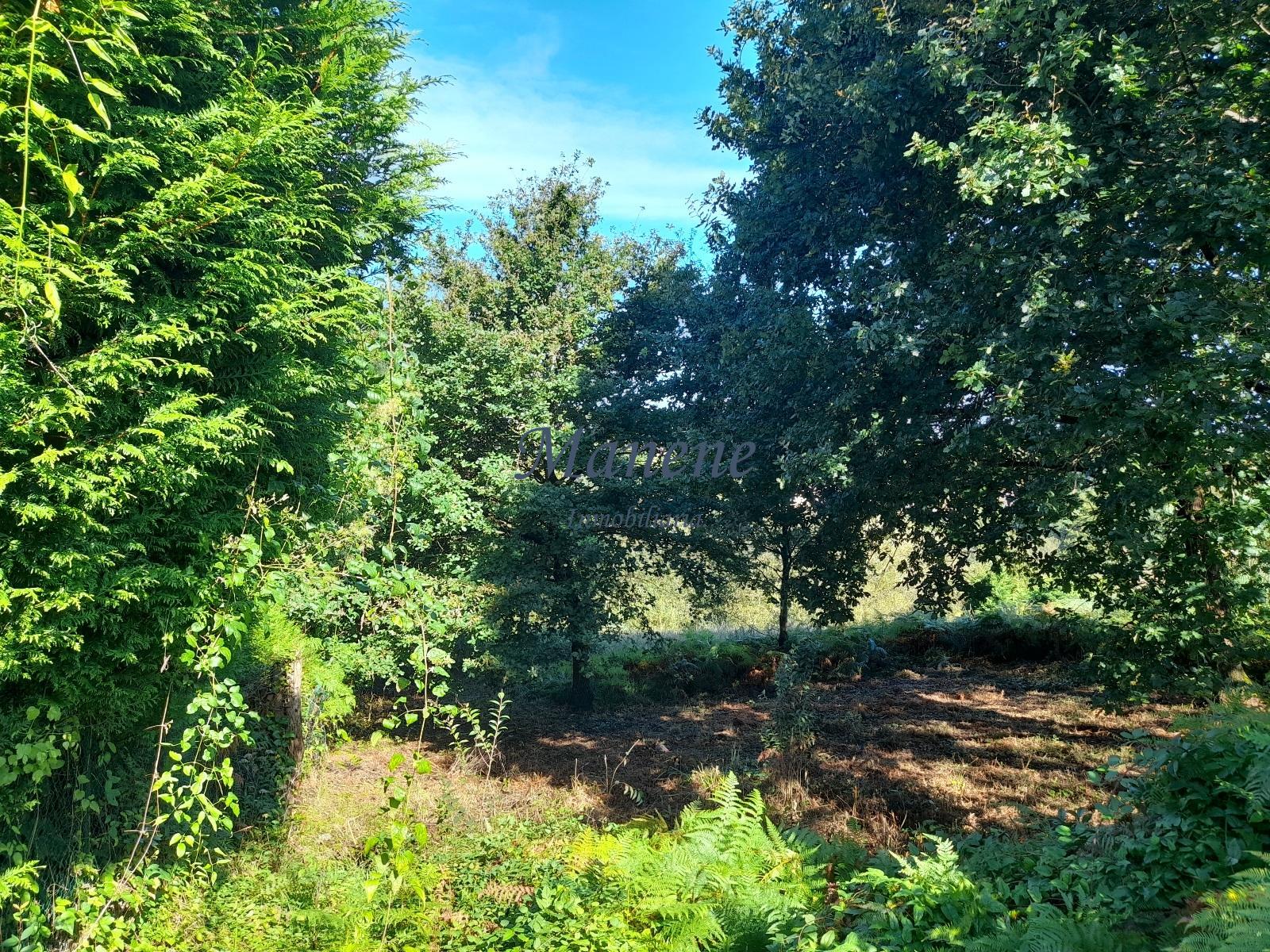 For sale of land in Mungia