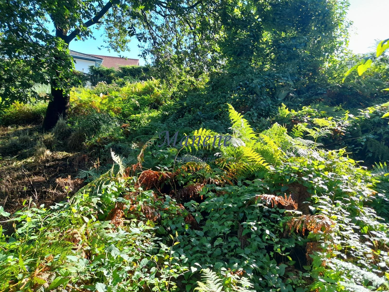 For sale of land in Mungia