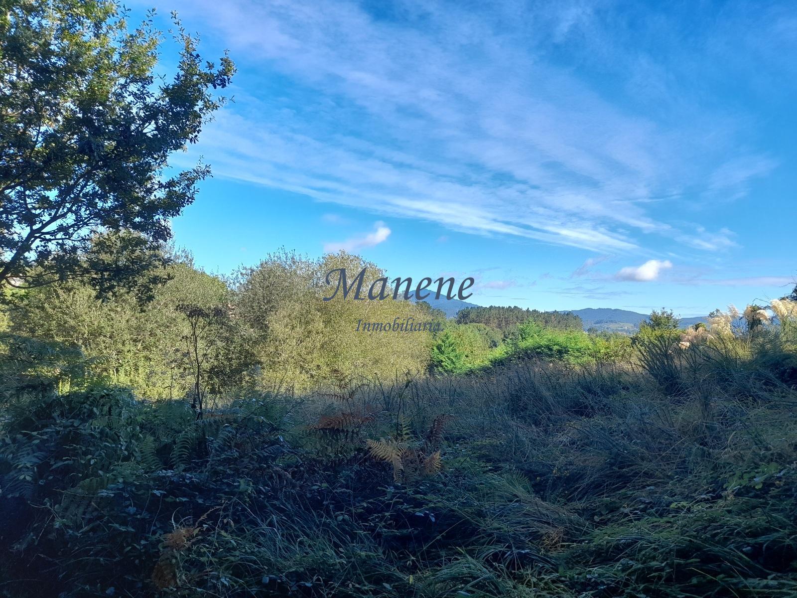 For sale of land in Mungia