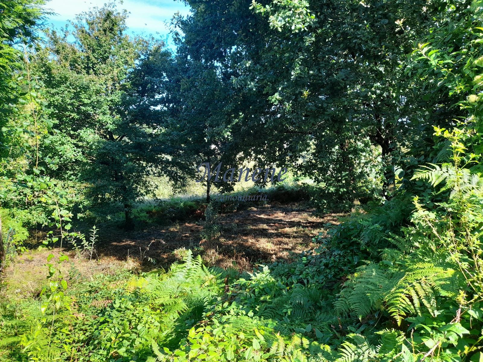 For sale of land in Mungia