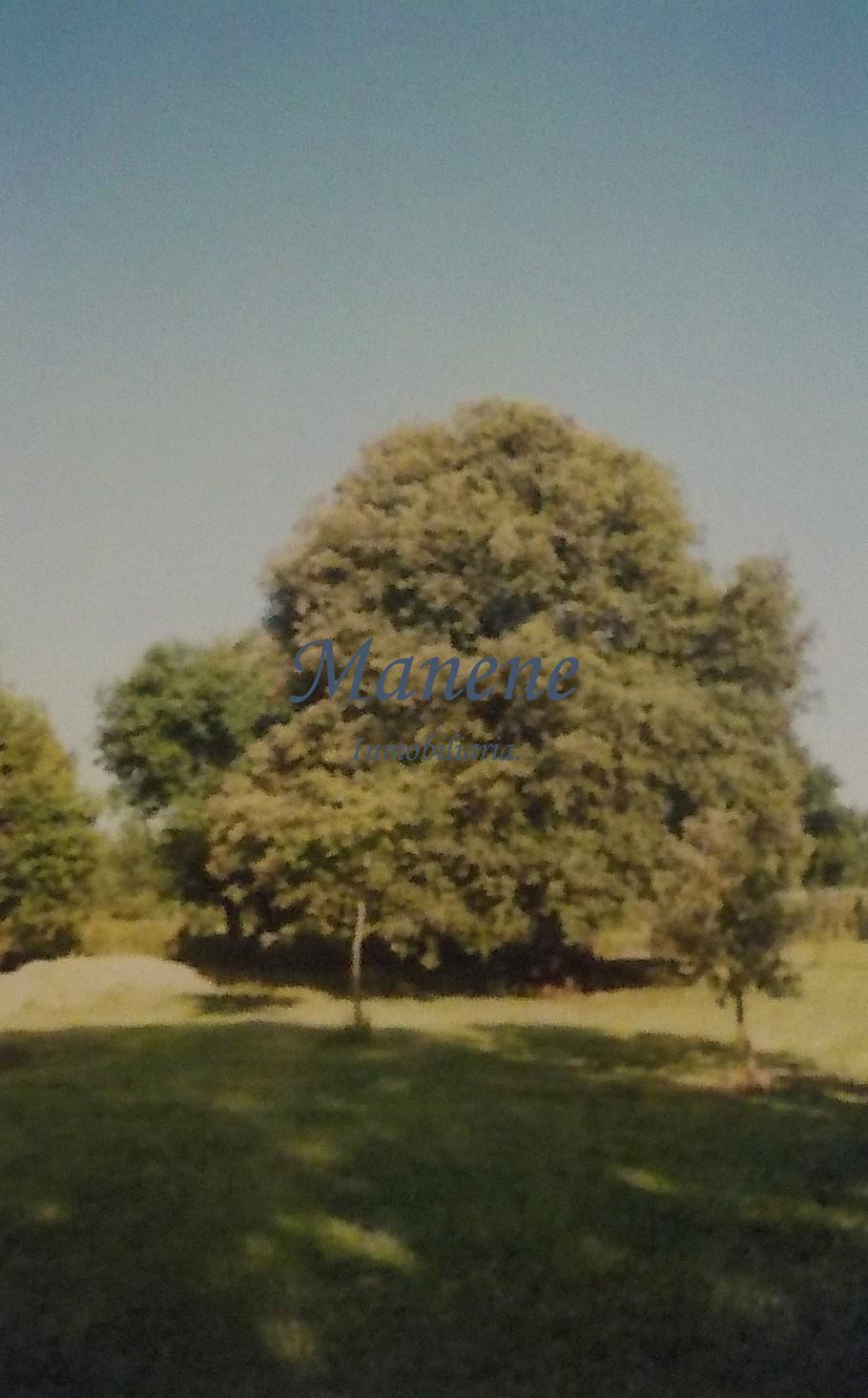 For sale of rural property in Laukiz
