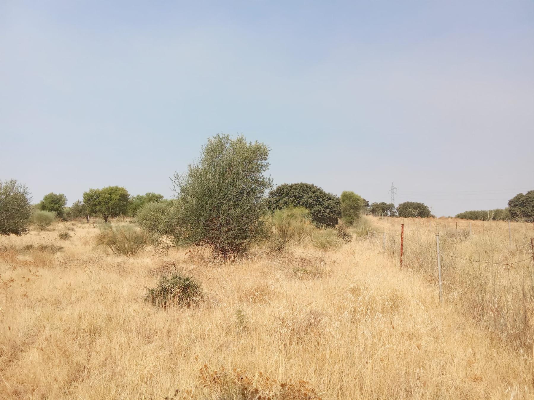 Venta de terreno en Mérida