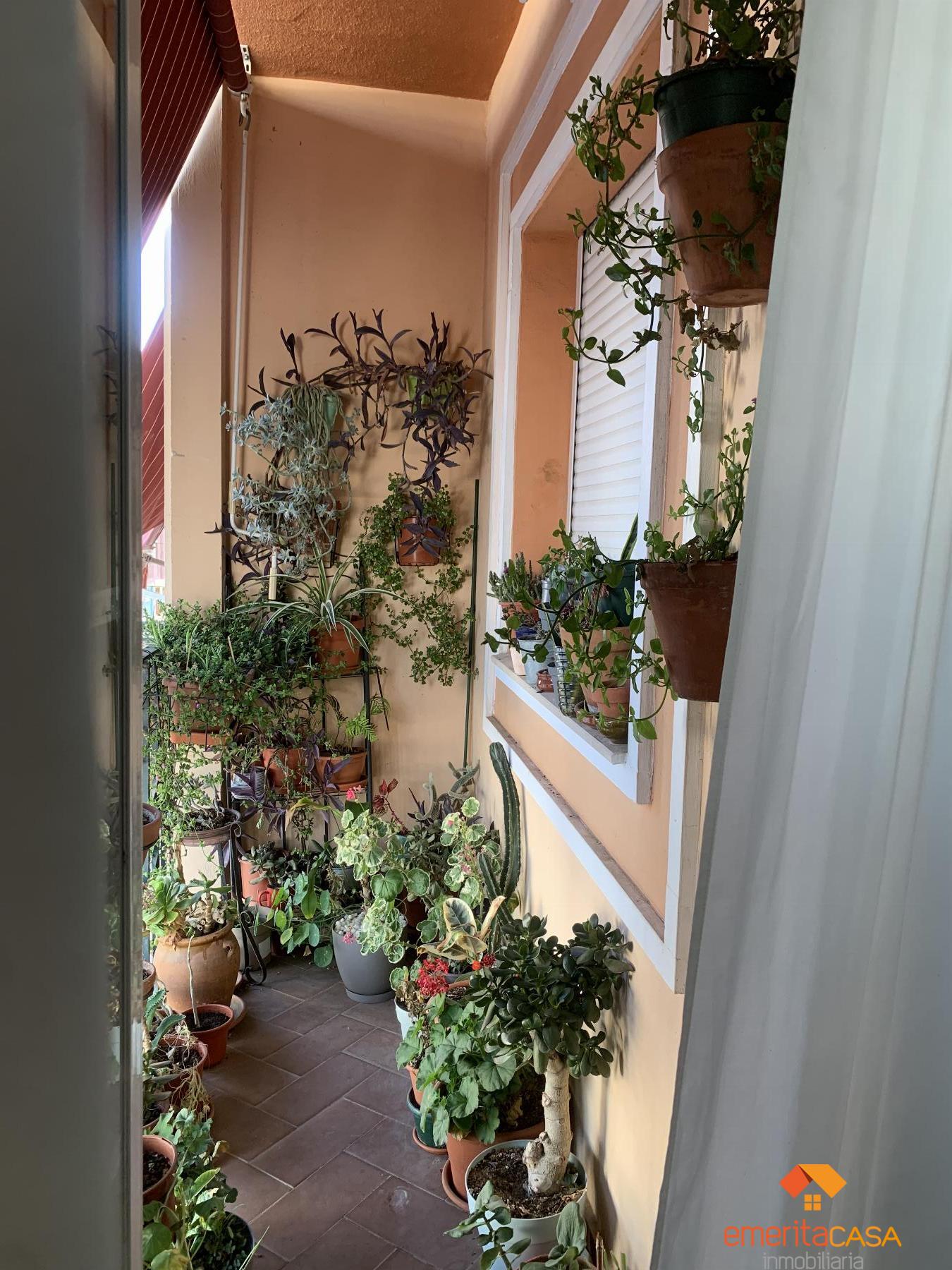 Venta de piso en Almendralejo