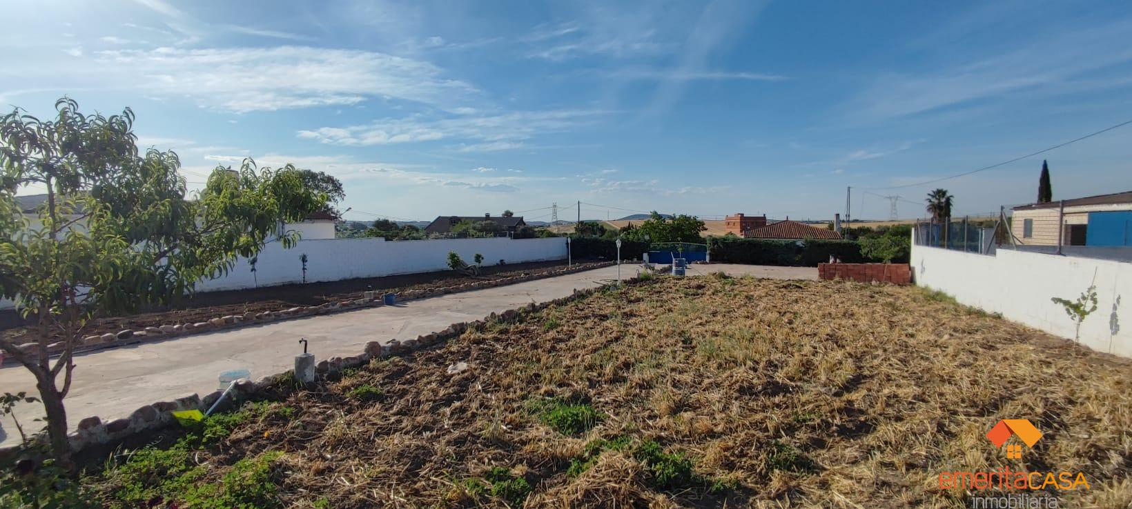 For sale of land in Mérida