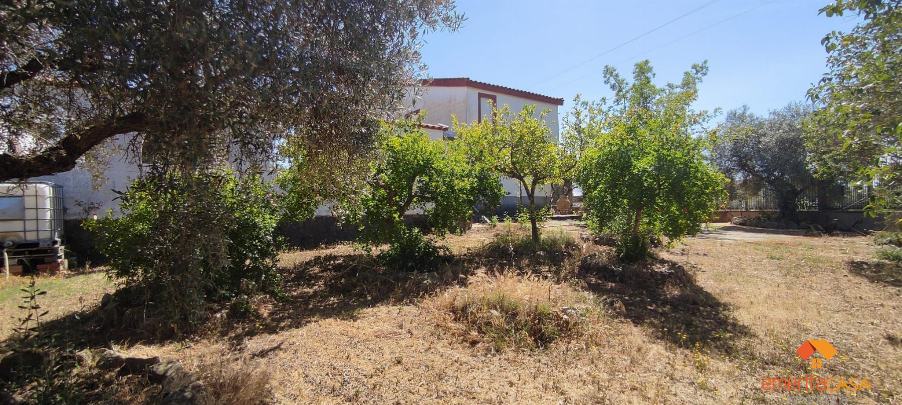 For sale of  in Don Álvaro