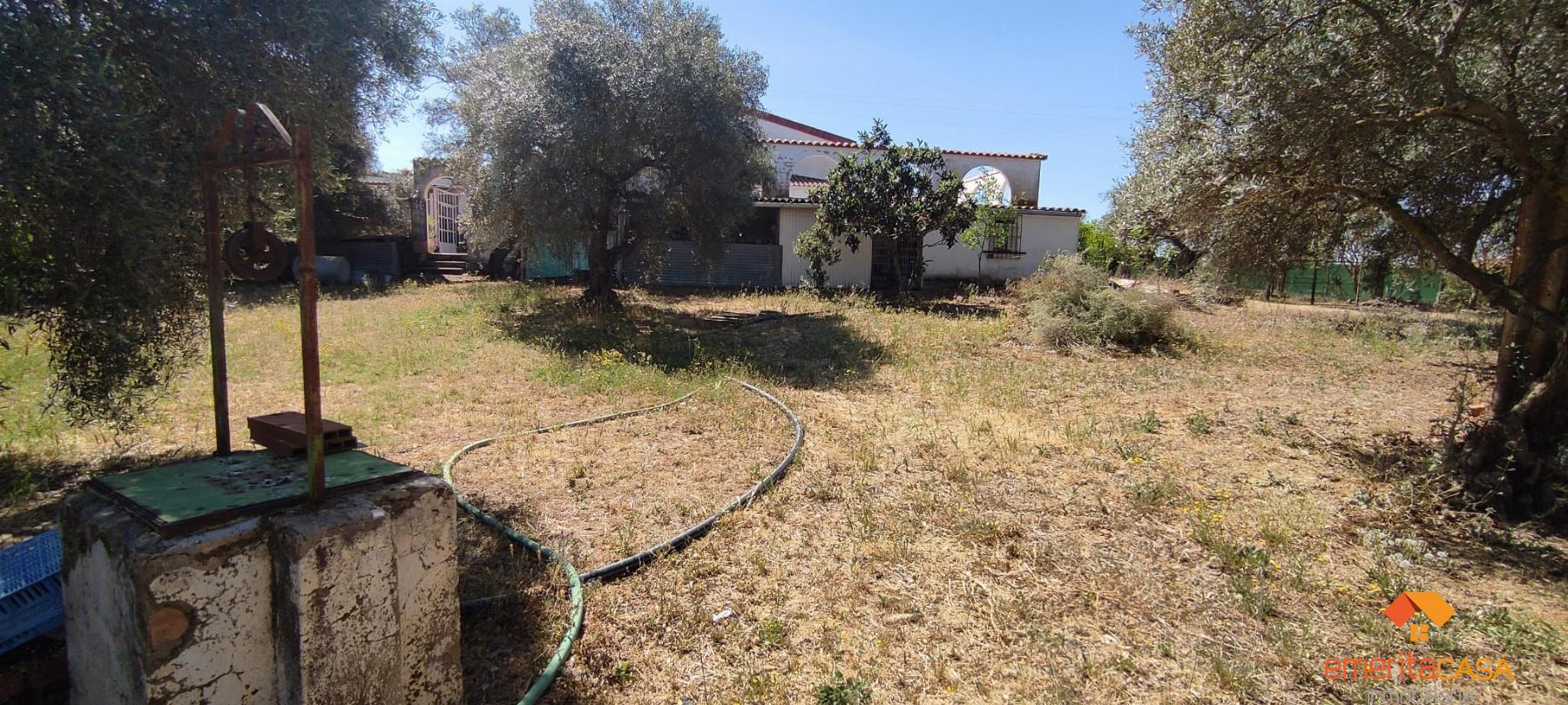 For sale of  in Don Álvaro