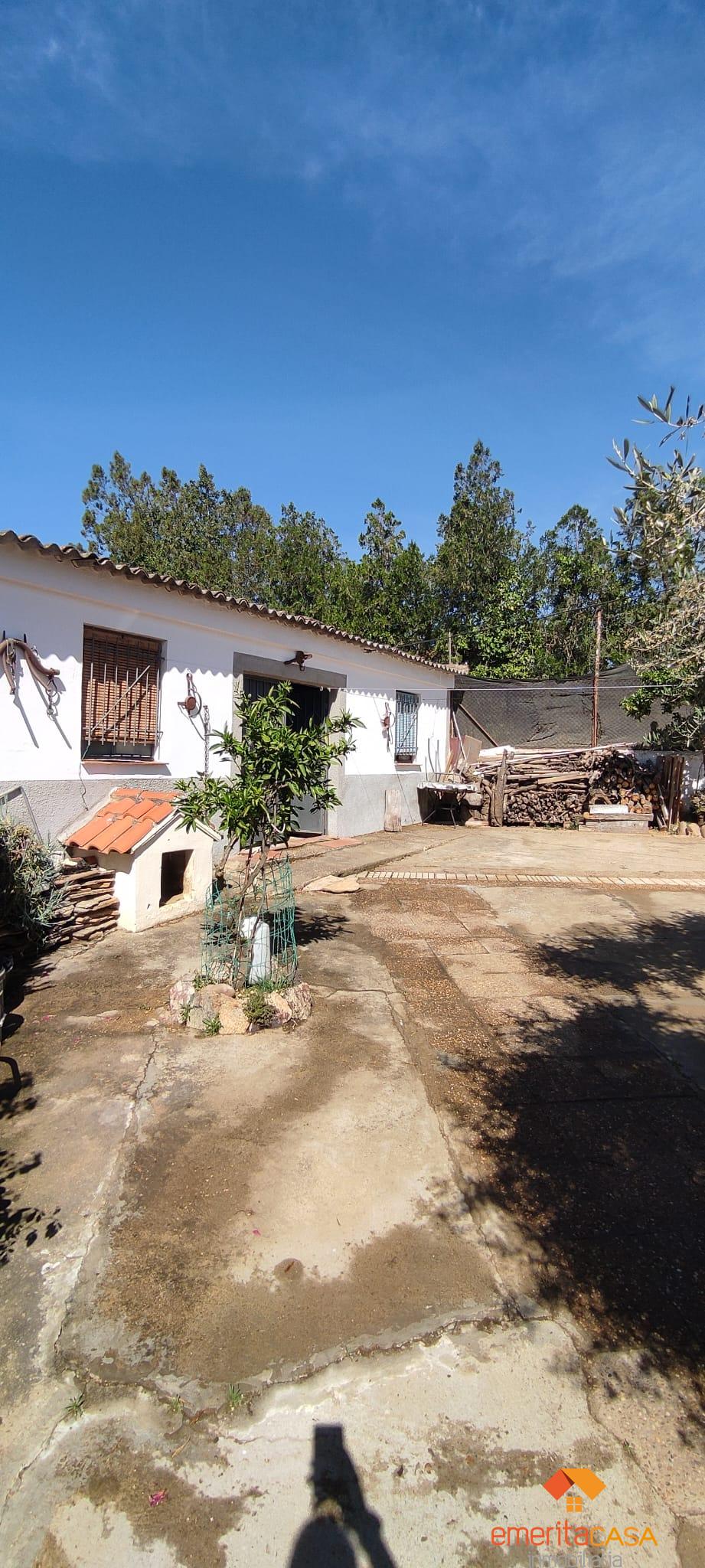 For sale of  in Don Álvaro