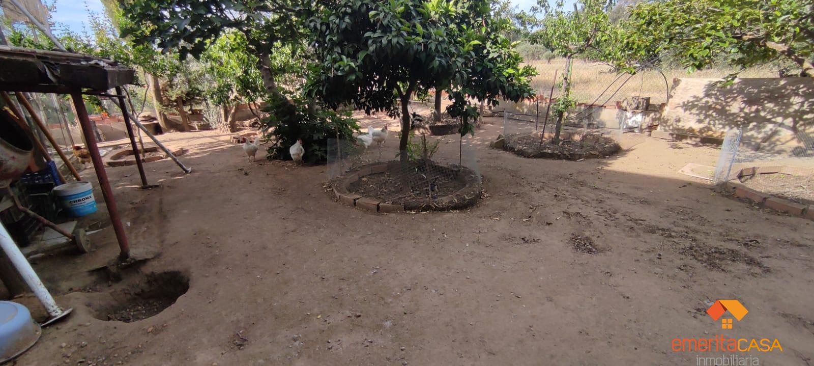 Venta de  en Don Álvaro
