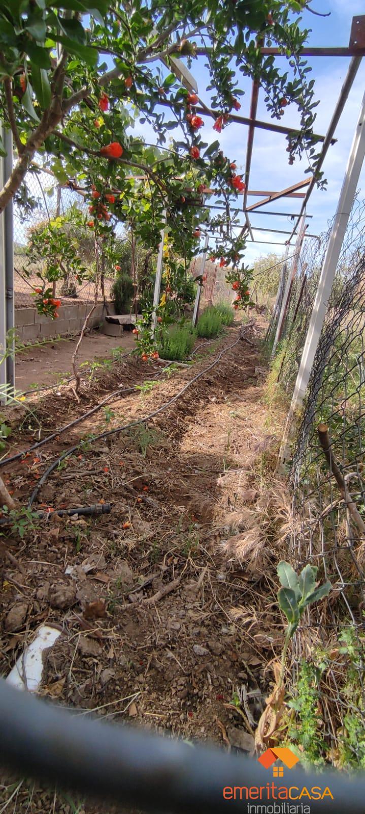 Venta de  en Don Álvaro